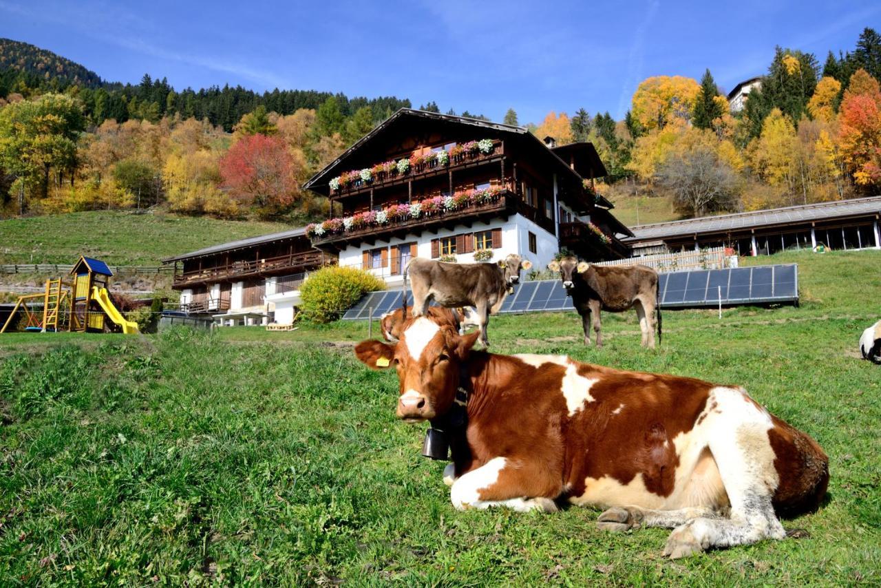 Wegscheiderhof Bed & Breakfast Bressanone Eksteriør bilde