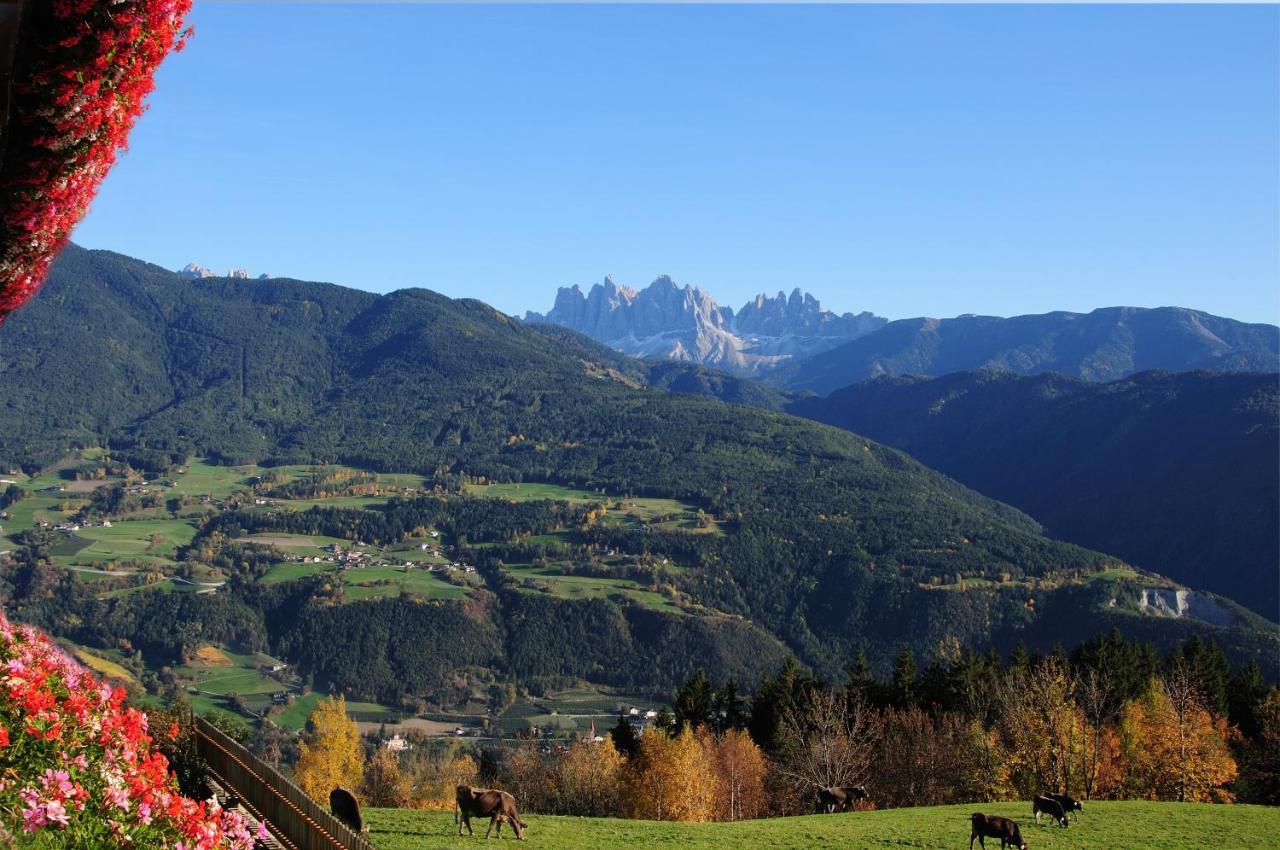 Wegscheiderhof Bed & Breakfast Bressanone Eksteriør bilde